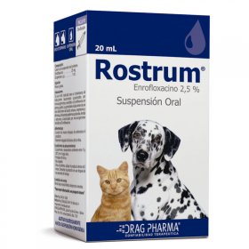 Rostrum