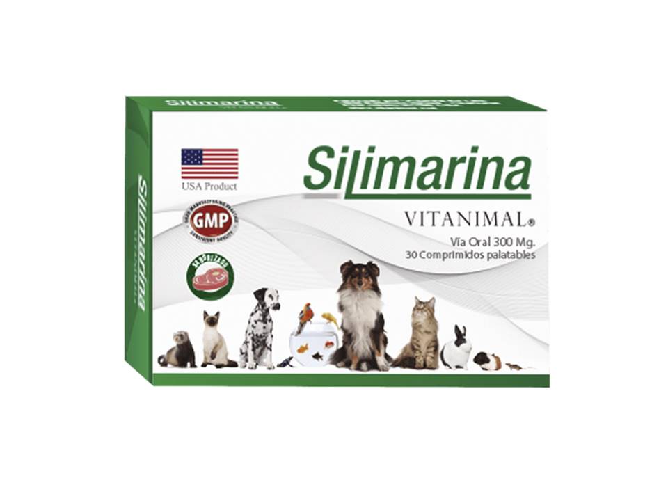 Silimarina comprimidos